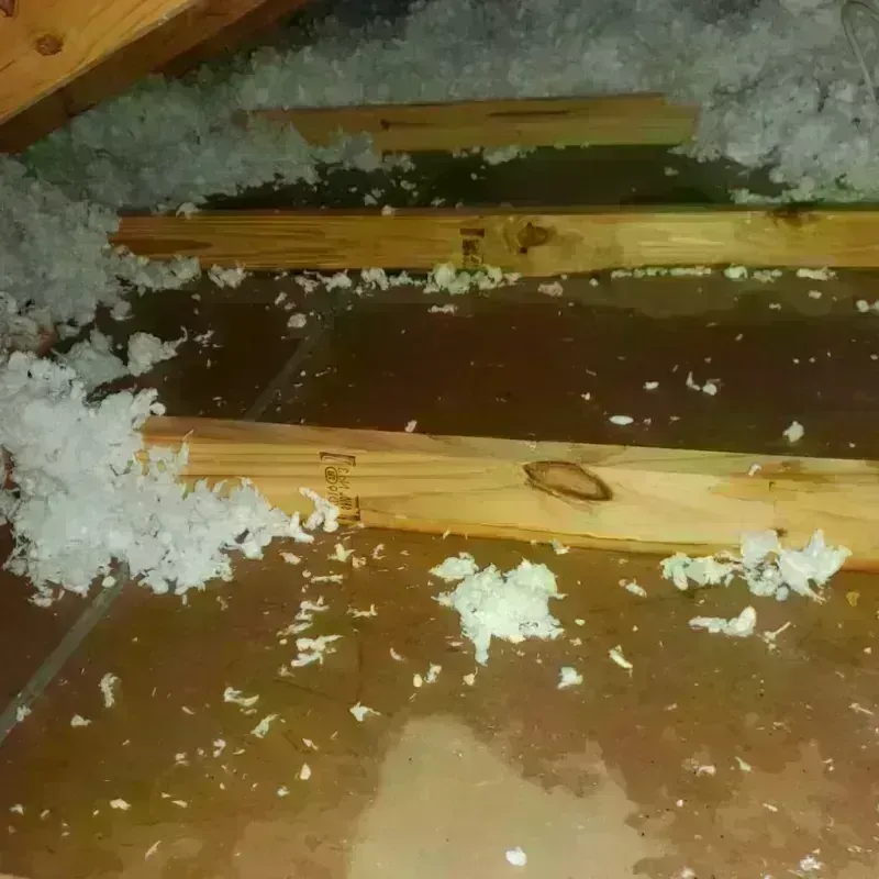 Attic Water Damage in Clay, KY